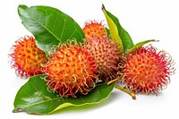 Group Rambutan fruit with leaf plant food white background.