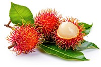 Rambutan fruit with leaf and branch plant food white background.