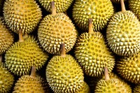 Durian fruit food pattern.