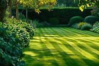 A beautiful English style landscape garden plant grass lawn.