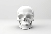 A skull white anthropology monochrome.