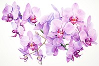Orchid flower blossom plant inflorescence. AI generated Image by rawpixel.