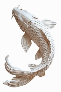 Bas-relief a koi fish sculpture texture animal white white background.