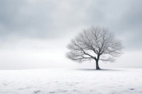 Snow tree tranquility landscape. AI generated Image by rawpixel.