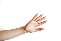 A Beauty female hand finger white background gesturing.