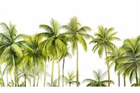Green palm tree border nature backgrounds outdoors.