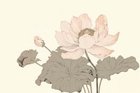 Illustratio the 1970s of lotus drawing flower sketch.