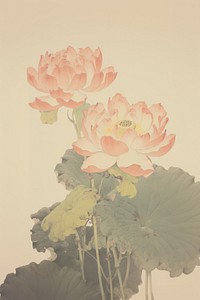 Illustratio the 1970s of lotus flower petal plant.
