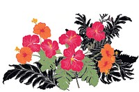 Illustratio the 1970s of tropical flower hibiscus plant white background.