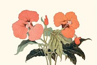 Illustratio the 1970s of tropical flower hibiscus plant inflorescence.