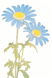 Illustration of a Daisy blue daisy flower plant.