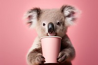 Koala pink background coffee cup paper.