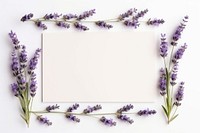 Rectangle frame handmade floral Lavender.