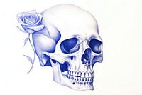 Drawing skull with rose sketch blue art.