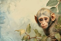 Realistic vintage drawing of Monkey border monkey wildlife animal.