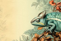 Realistic vintage drawing of chameleon border reptile animal lizard.