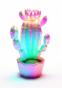 Cactus iridescent plant white background illuminated.