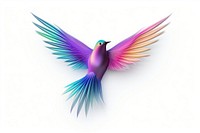 Bird symbol iridescent hummingbird animal flying.