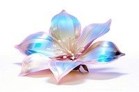 Flower iridescent jewelry petal plant.