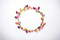 Frame floral tulip flower photography circle.