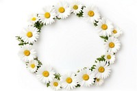 Floral frame daisy flower nature circle.