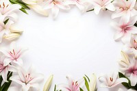 Floral frame lily flower backgrounds nature.