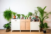 Houseplants furniture sideboard houseplant cabinet. AI generated Image by rawpixel.