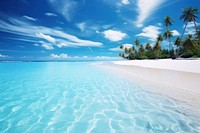  Maldive beach landscape outdoors nature. 