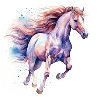 Horse in Watercolor style drawing animal mammal.