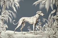 Greyhound animal mammal dog.