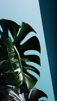  Monstera plant leaves green leaf outdoors. AI generated Image by rawpixel.