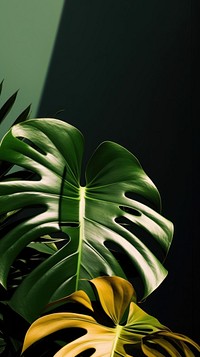  Monstera plant leaves green leaf freshness. AI generated Image by rawpixel.