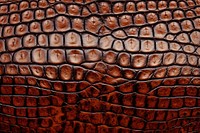  Crocodile skin texture backgrounds repetition abundance. AI generated Image by rawpixel.
