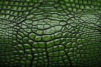  Crocodile skin texture green backgrounds monochrome. AI generated Image by rawpixel.