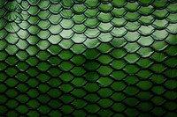 Snake skin texture green backgrounds repetition. AI generated Image by rawpixel.