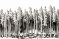  Border graphic of forrest drawing sketch outdoors. AI generated Image by rawpixel.