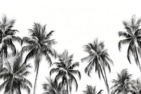  Coconut tree outdoors nature sketch. AI generated Image by rawpixel.