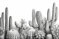 Cactuses drawing sketch plant. AI generated Image by rawpixel.