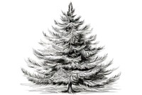 Christmas tree drawing sketch christmas. AI generated Image by rawpixel.