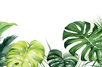 Monstera border backgrounds outdoors nature.
