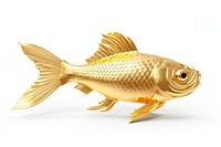 Fish animal gold white background. 