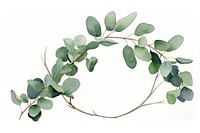 Eucalyptus branch circle plant leaf.