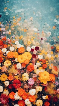 Photography of a flower field nature outdoors painting.