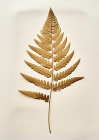 Real Pressed a minimal aesthetic pale Polypodium pine needle leaf plant fern pattern.