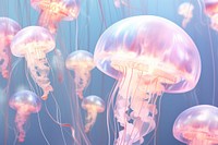 3d jellyfish holographic invertebrate transparent translucent.