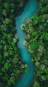 Aerial top down view of Southeast Asia canal vegetation landscape outdoors.
