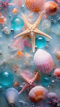 Shells and starfish seashell nature invertebrate. AI generated Image by rawpixel.