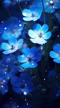  Blue flower backgrounds outdoors nature. 
