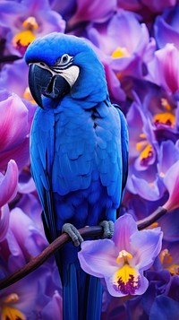 Blue Hyacinth macaw animal parrot flower. AI generated Image by rawpixel.