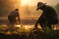Thai farmer men working agriculture gardening sunlight.